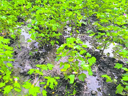 పైసా పరిహారం ఇస్తే ఒట్టు ..! 