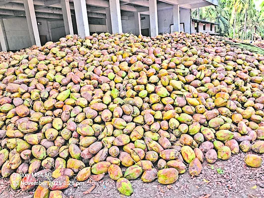 నారికేళం ఢమాల్‌