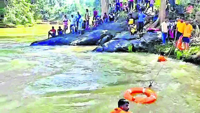 నదిలో మహిళ గల్లంతు 