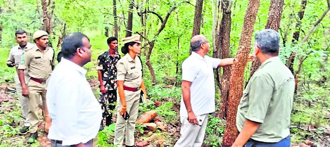 ఎర్రచందనం జోలికి వస్తే ఎంతటి వారైనా ఉపేక్షించం 