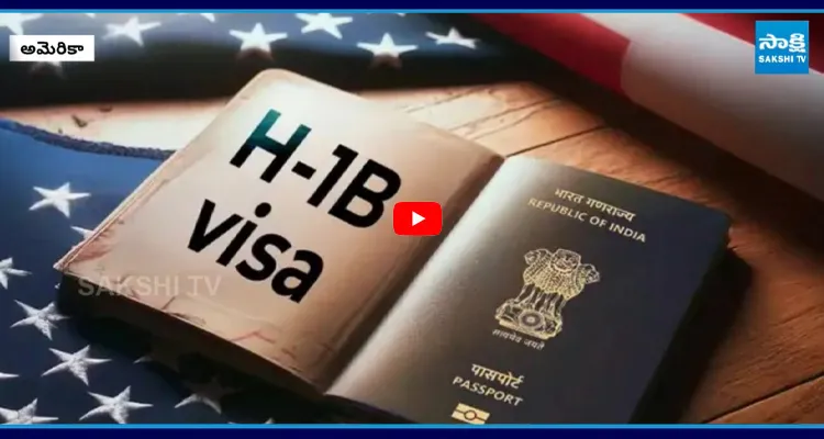 బయటపడ H1B వీసా కుంభకోణం