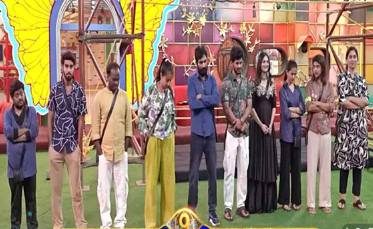 Bigg Boss 9 Telugu: Who Will be Top 5