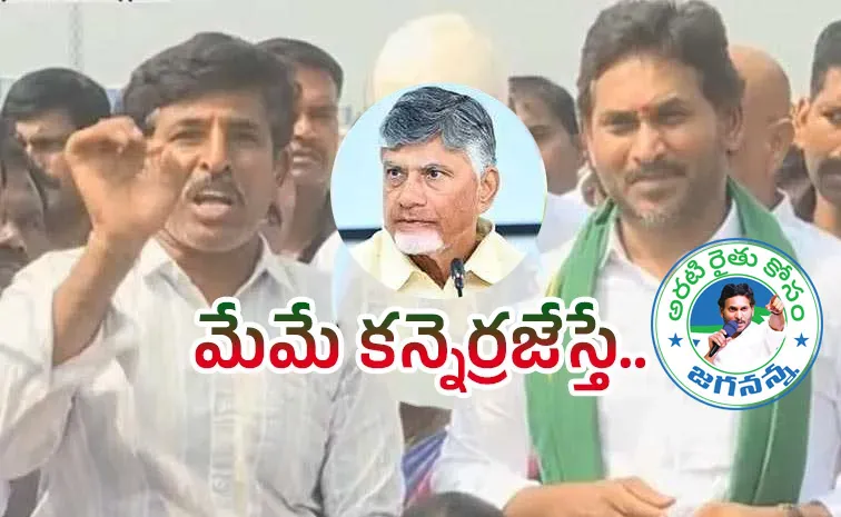 YS Jagan Pulivendula Tour: Farmer Asks Chandrababu Over Negligence
