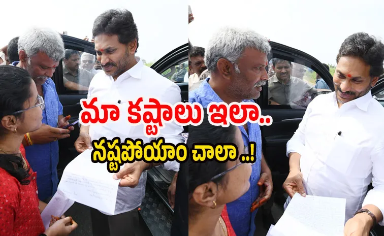 Medical Student In Pulivendula Meets YSRCP Chief YS Jagan