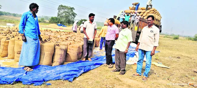 నిబంధనల మేరకు ధాన్యం కొనుగోలు చేయాలి