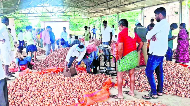 కొత్త ఉల్లి రాక.. మరోసారి పడిపోయిన ధరలు 