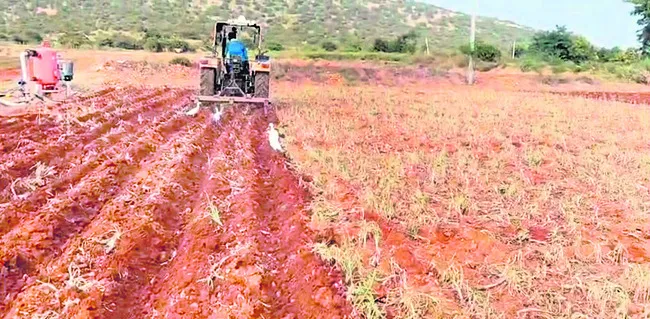 నష్టాన్ని దిగమింగుతూ.. కష్టాన్ని దున్నేస్తూ 