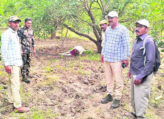 పులి వచ్చిందోచ్‌..! 