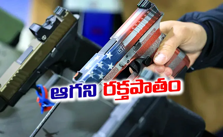 2025 Gun related incidents in America