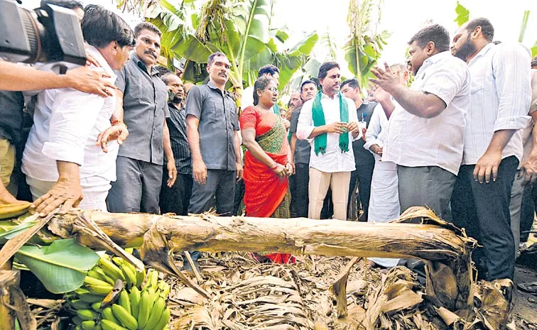 Pulivendula Tour: Ys Jagan Fires On Chandrababu