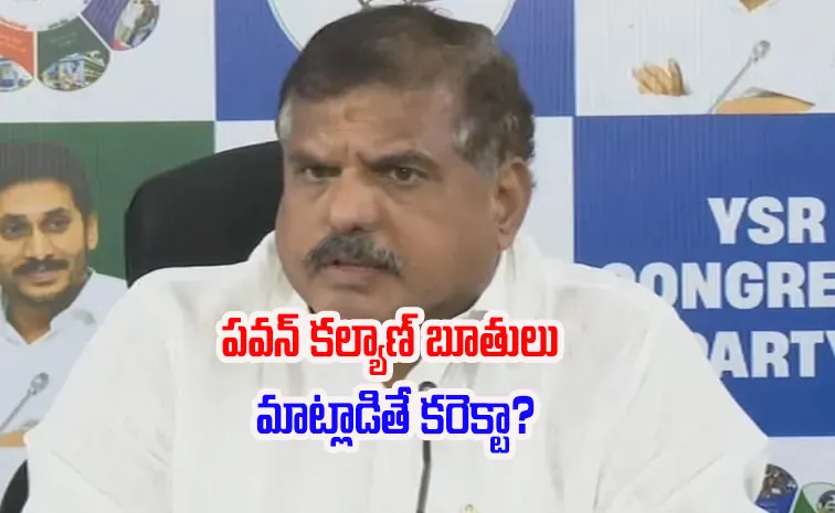 Botsa Satyanarayana Speech After Met Governor Over Privatisation
