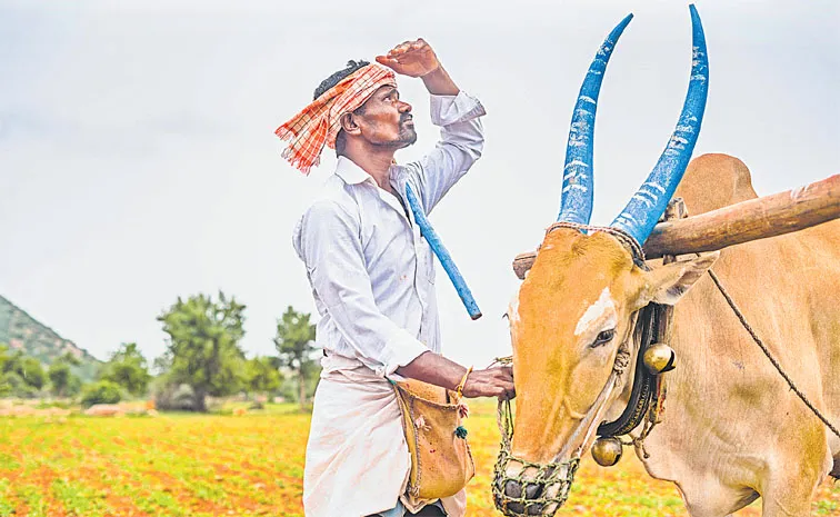 Disasters like climate change are having a severe impact on agriculture1