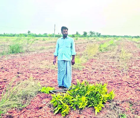 ధర్మవరంలో దుశ్చర్య! 