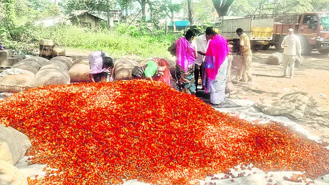 బంతి రైతు ఉసూరు