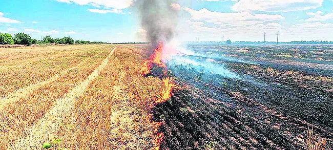 కొయ్యలు కలియదున్నితే భూసారం