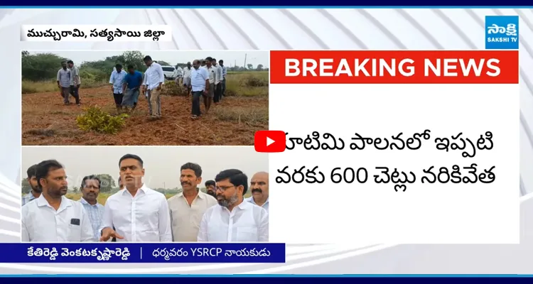 Venkata Krishna : ముచ్చురామిలో YSRCP కార్యకర్త పొలంలో జనసేన విధ్వంసం