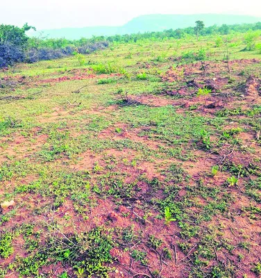 భూ ఆక్రమణలకు యత్నిస్తున్నారని ఫిర్యాదు 