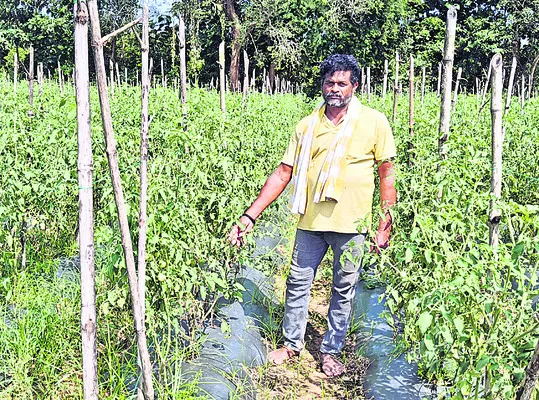 విజయనగరం