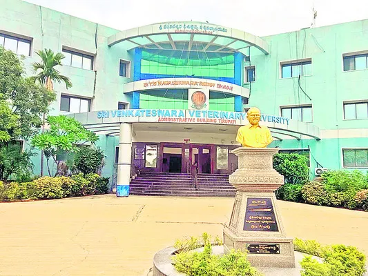 వెటర్నరీలో వసూల్‌ రాజాలు!