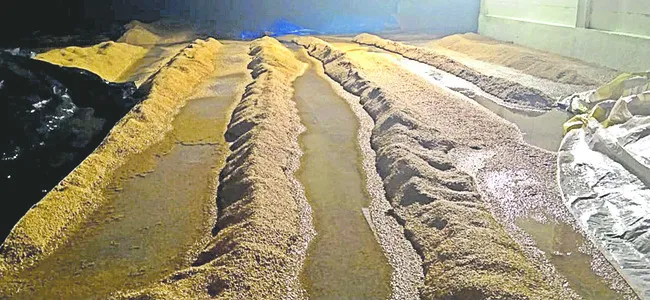 మళ్లీ దంచికొట్టిన వాన