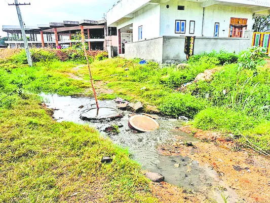 కాలనీలన్నీ కంపు