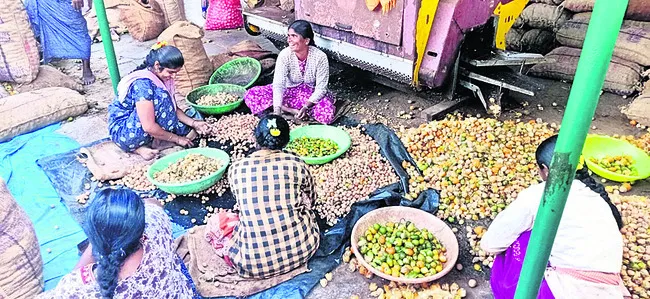 హామీ వక్కలైంది 