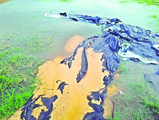 మళ్లీ తడిసిన ధాన్యం.. 
