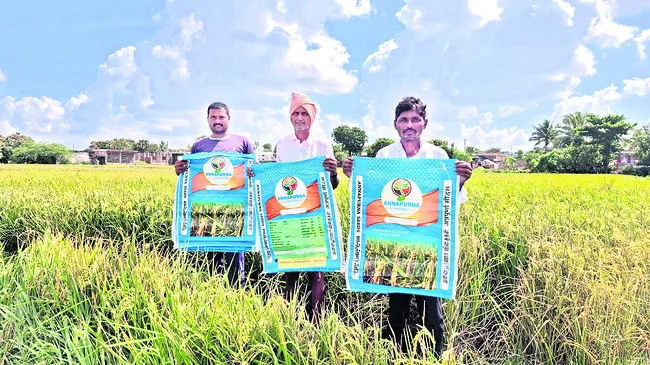 నాసిరకం విత్తనాలతో మోసపోయాం