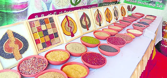 వరించిన పురస్కారం