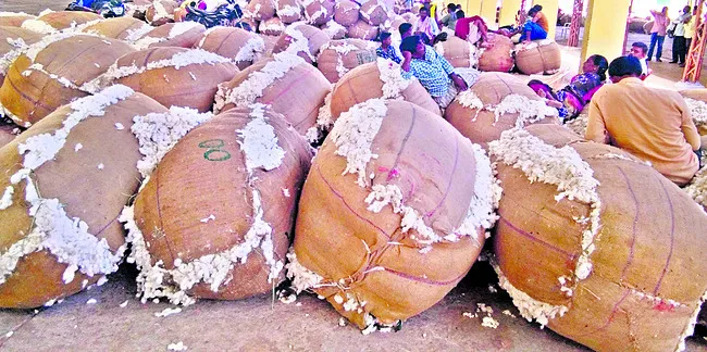 సాంకేతిక వి‘పత్తి’ 