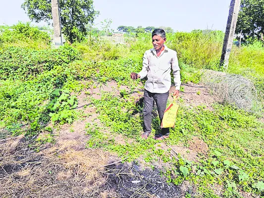 సేంద్రియ సాగు.. అద్భుత ఫలితాలు.. 