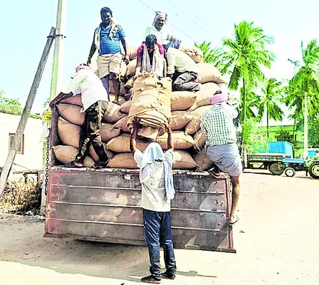 ‘దిత్వా’తో రైతుల్లో కలవరం 