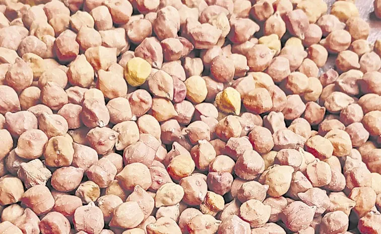 AP Farmers Fires on Chandrababu Govt Subsidized Seeds