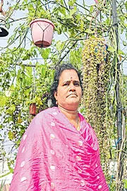 Vanamali Gardening Group refers to a community-driven urban gardening movement