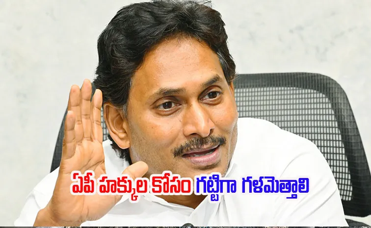 వైఎస్సార్‌సీపీ ఎంపీలకు వైఎస్‌ జగన్‌ దిశానిర్దేశం