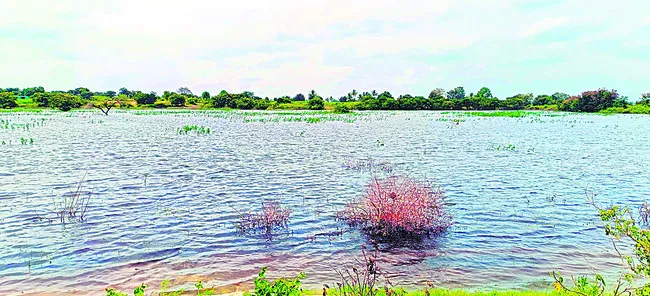 ప్రమాదకర రసాయనాలు 