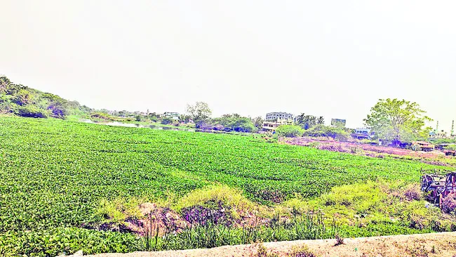 కదిలిన ధాన్యాగారం పునాదులు!