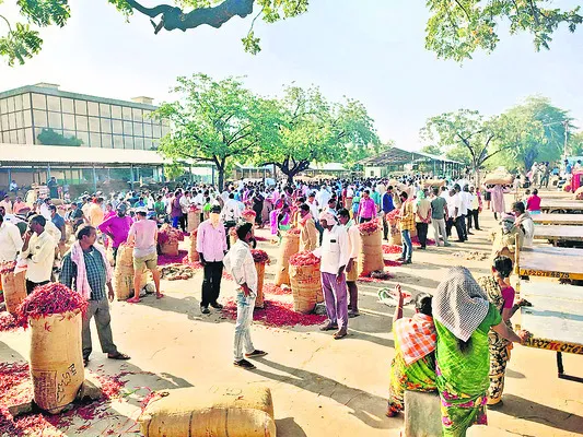 మిర్చి ధరలో కదలిక