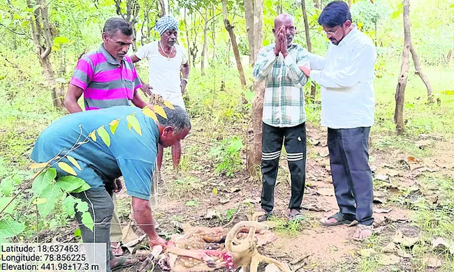 జింకను వేటాడిన వ్యక్తి అరెస్ట్‌