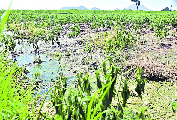 కౌలు రైతులు కుదేలు 