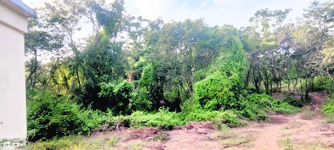 గూడెంలో హాకీ మైదానం..