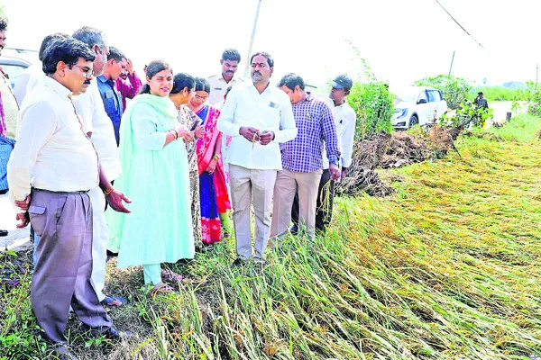 నష్ట తీవ్రతను అంచనా వేయాలి