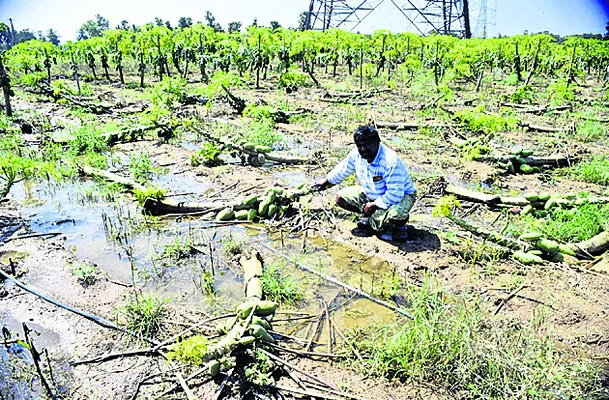 నిట్టనిలువునా కూల్చేసింది.. 