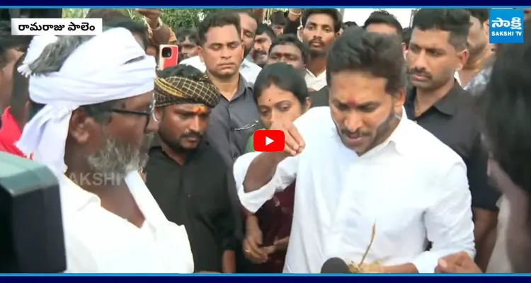 Gudur Farmers: పంట పొలాల్లో రైతులతో YS జగన్