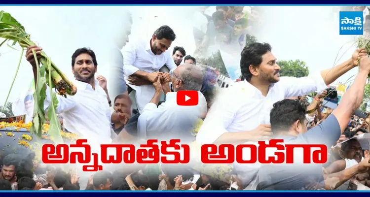 Krishna Dist tour: జగనన్న నాయకత్వం వర్ధిల్లాలి అంటూ ప్లకార్డులు