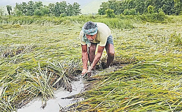 నాడు ఉచిత బీమా రక్ష.. నేడు అనుచిత శిక్ష