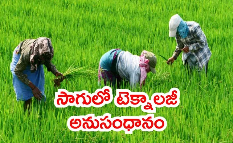 300 బిలియన్‌ డాలర్లకు బయో ఎకానమీ