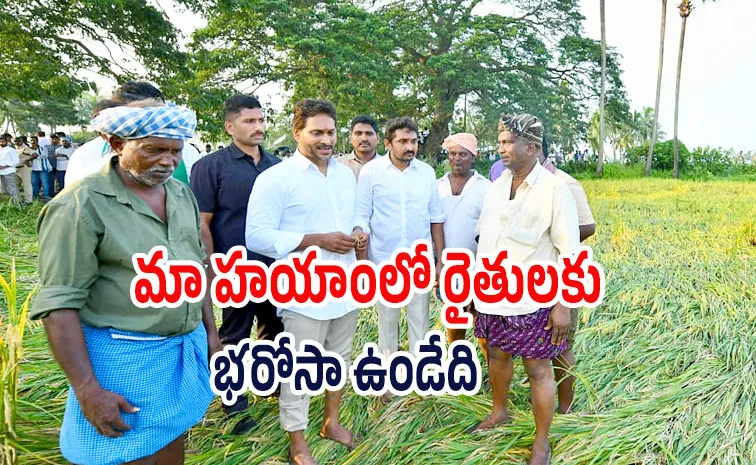 YS Jagan spoke about the impact of Cyclone Montha