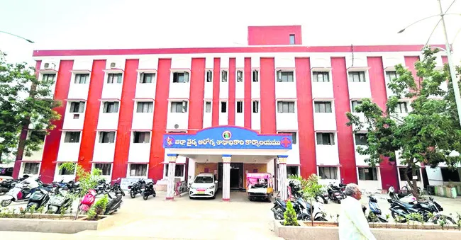 షాడో డీఎంహెచ్‌ఓ 