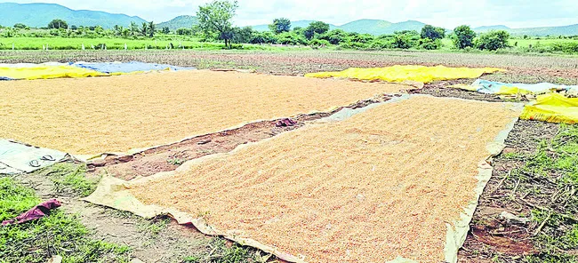 సర్కారు చోద్యం! 